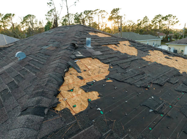 Best Solar Panel Roofing Installation  in Chalfant, CA